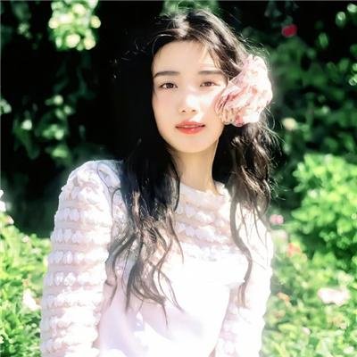 老鸟出招